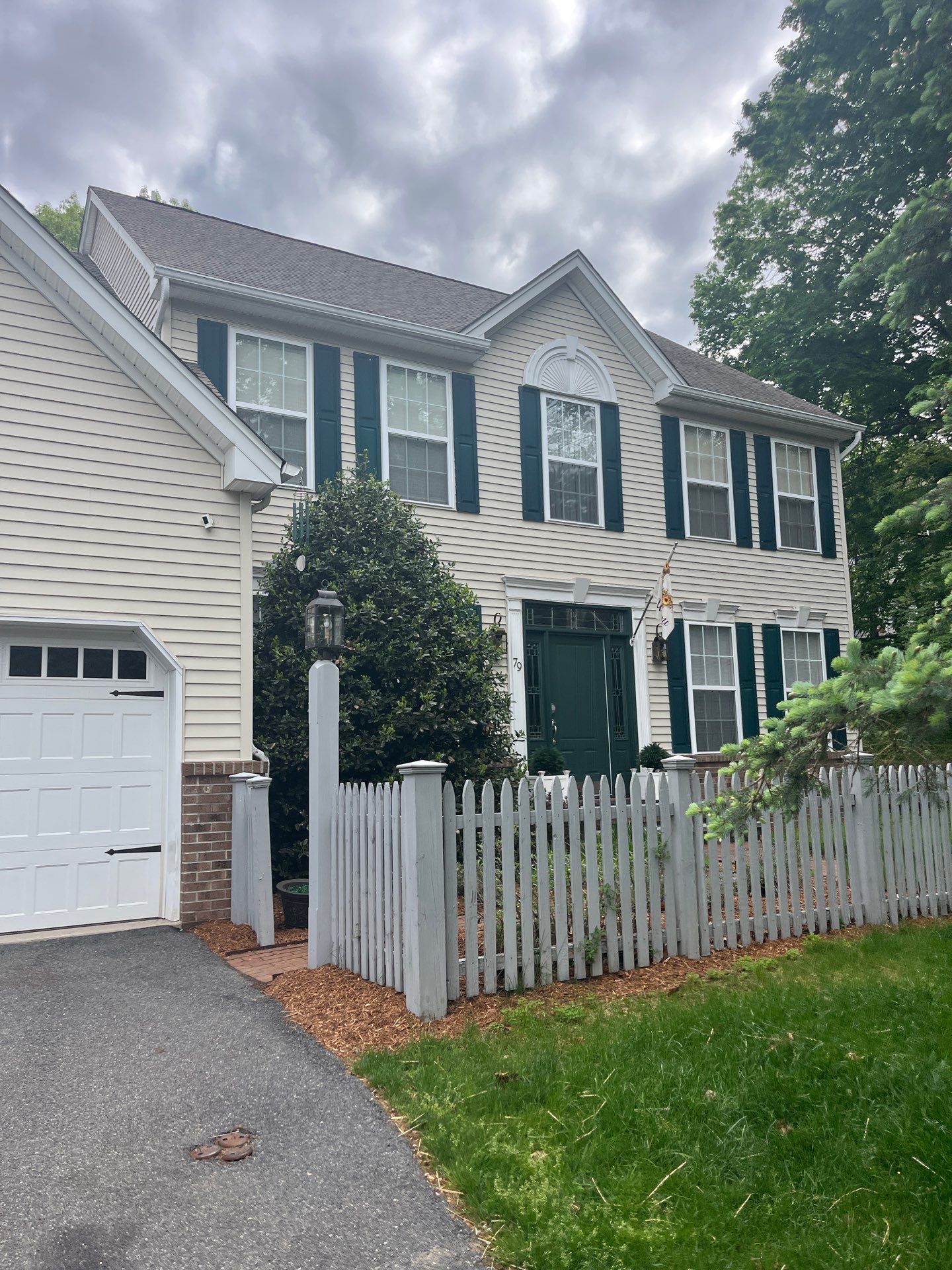 The Cost of Ignoring Mold: Financial and Health Implications