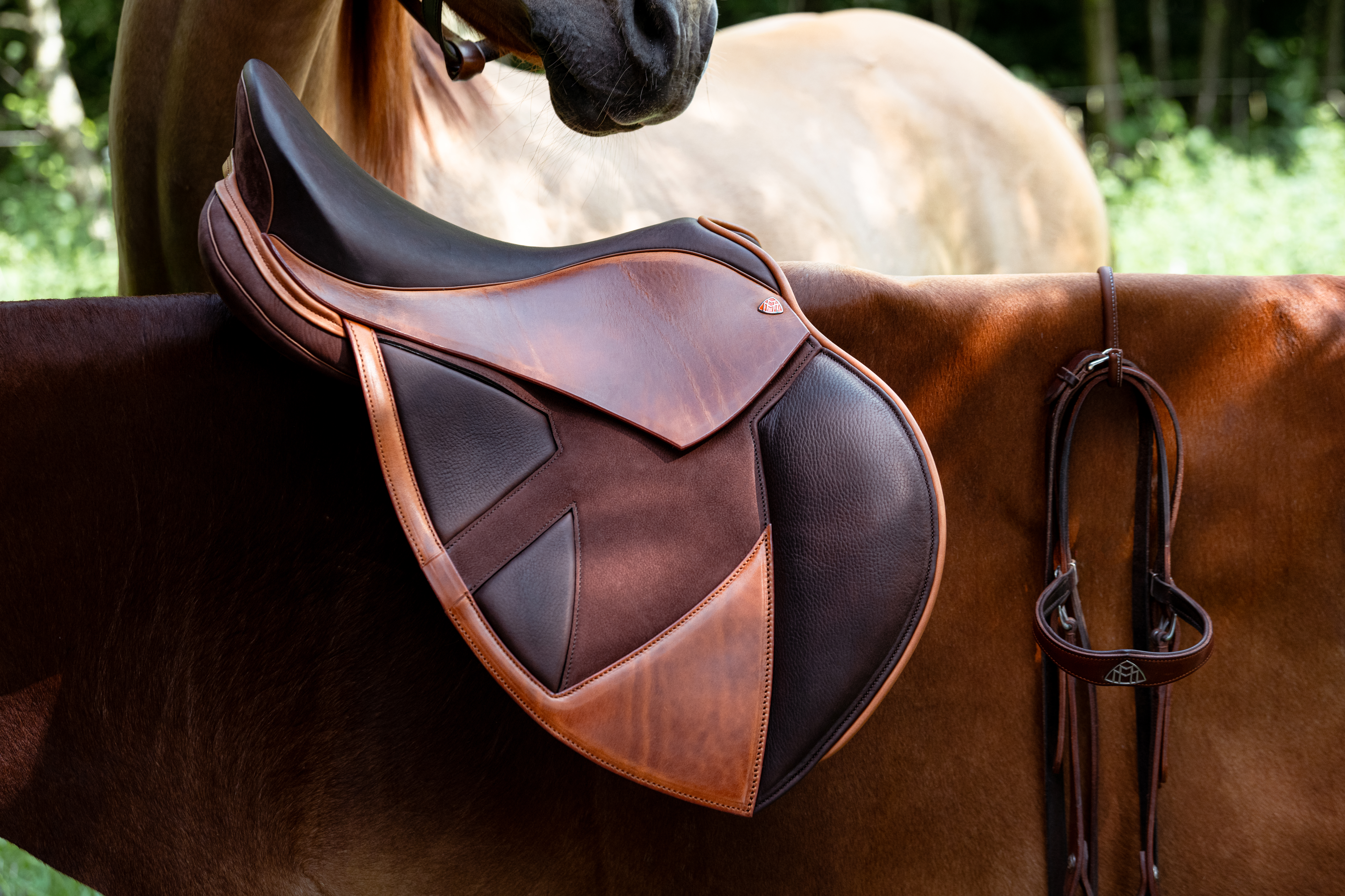 Maybach Saddlery leather jumping saddle resting on a horse's back beside a leather bridle
