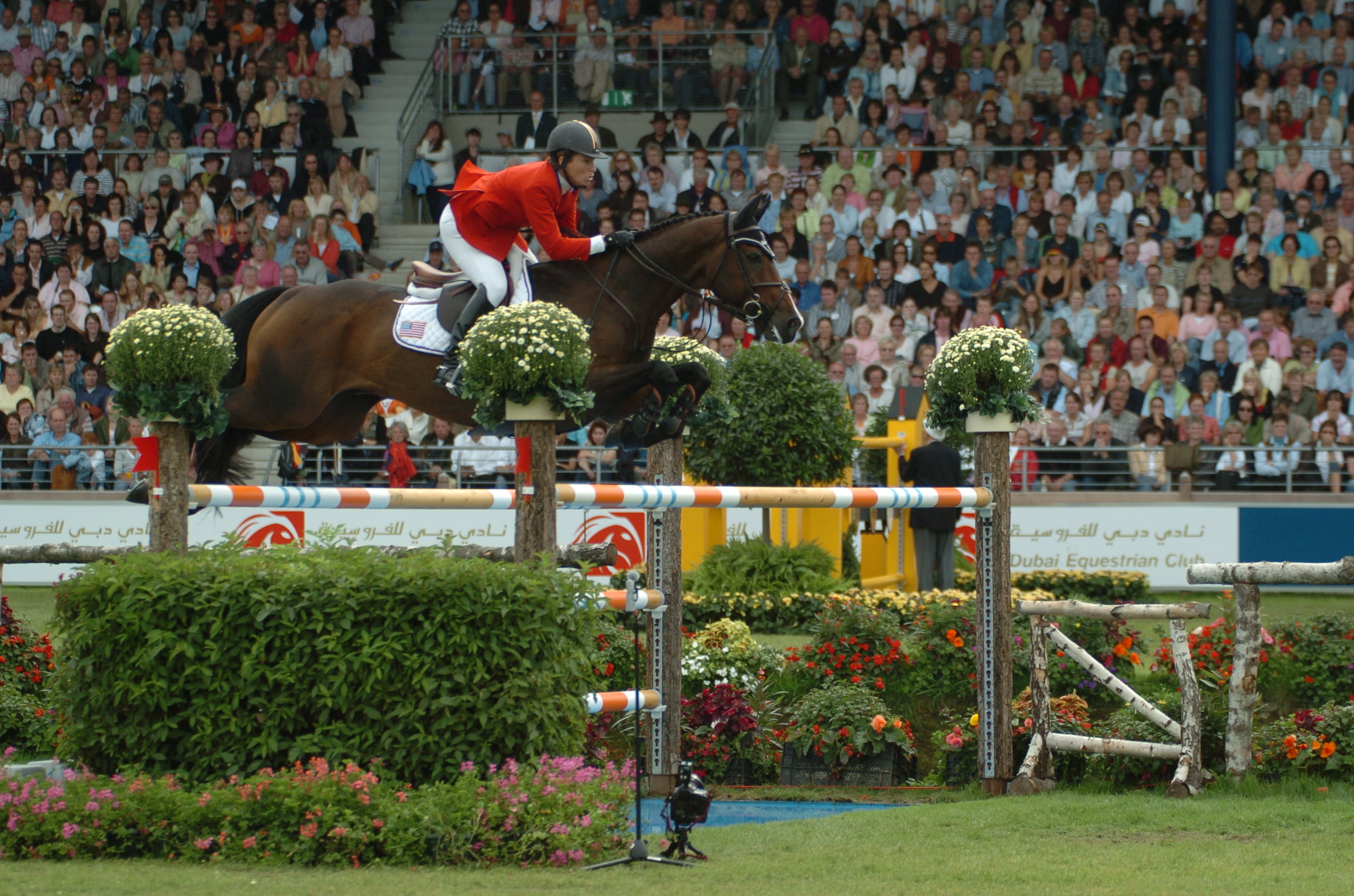 Rider in a red jacket clearing an oxer on a bay horse before a packed outdoor grandstand