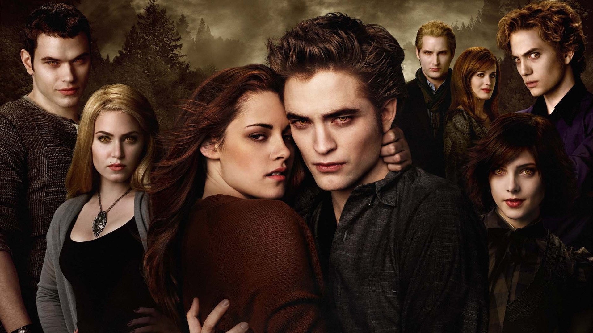 Twilight Saga book collection