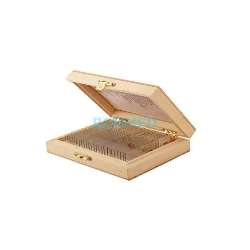 K4980 – Láminas Biológicas Preparadas – Zoología: Insectos (25 Láminas)