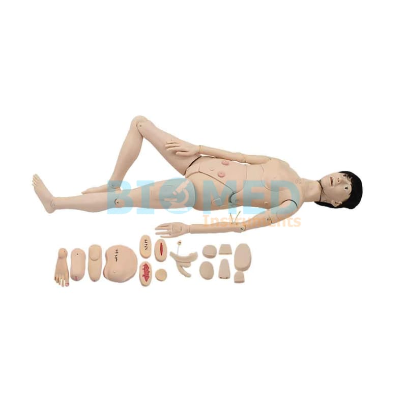 Modelo Femenino Para Practica De Enfermeria