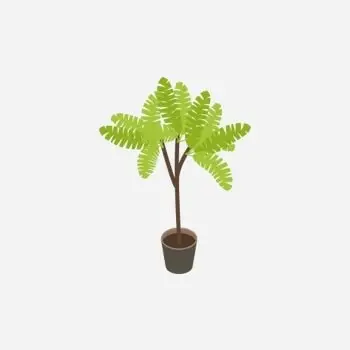 Plant