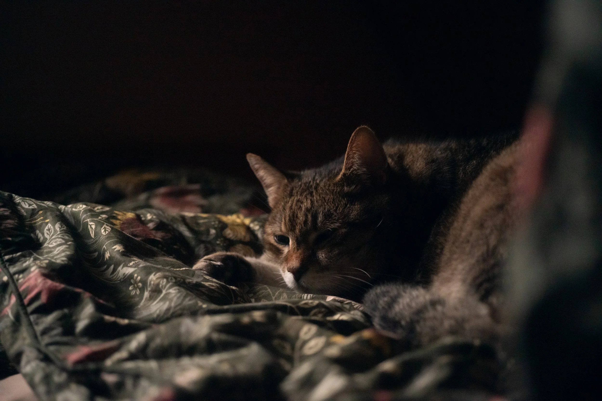 Endless Rain, Rising Waters