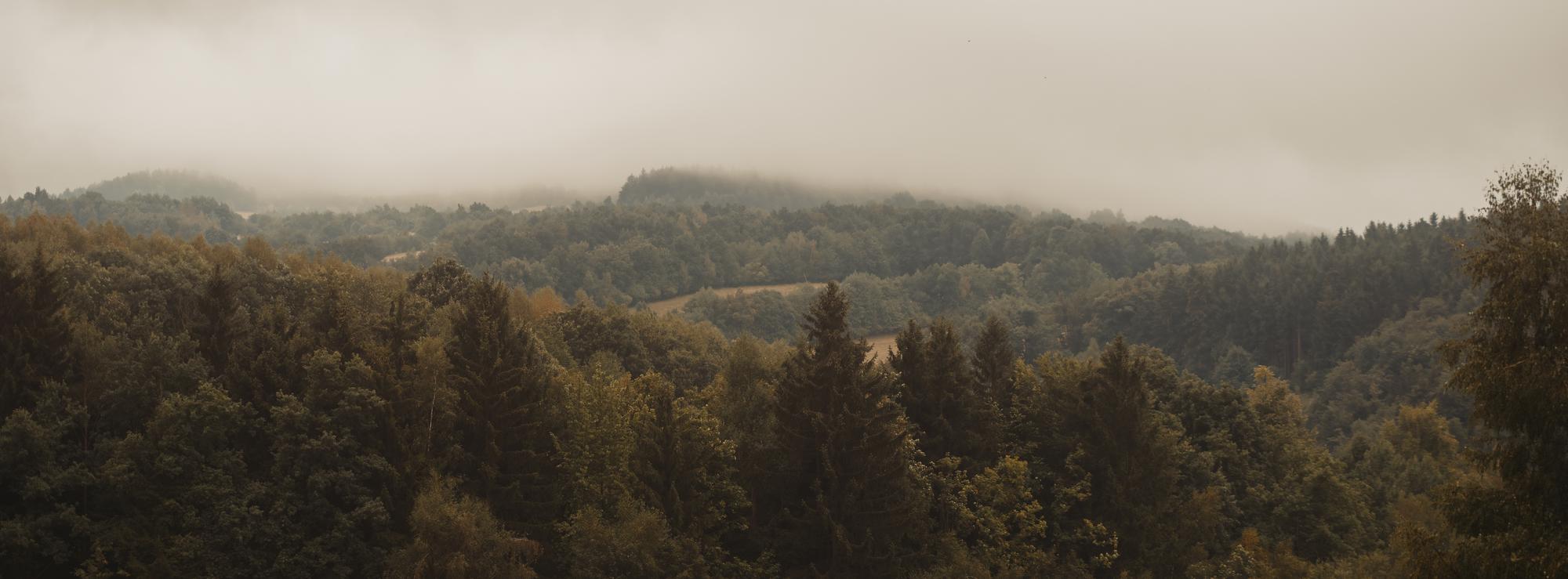 Open Fields