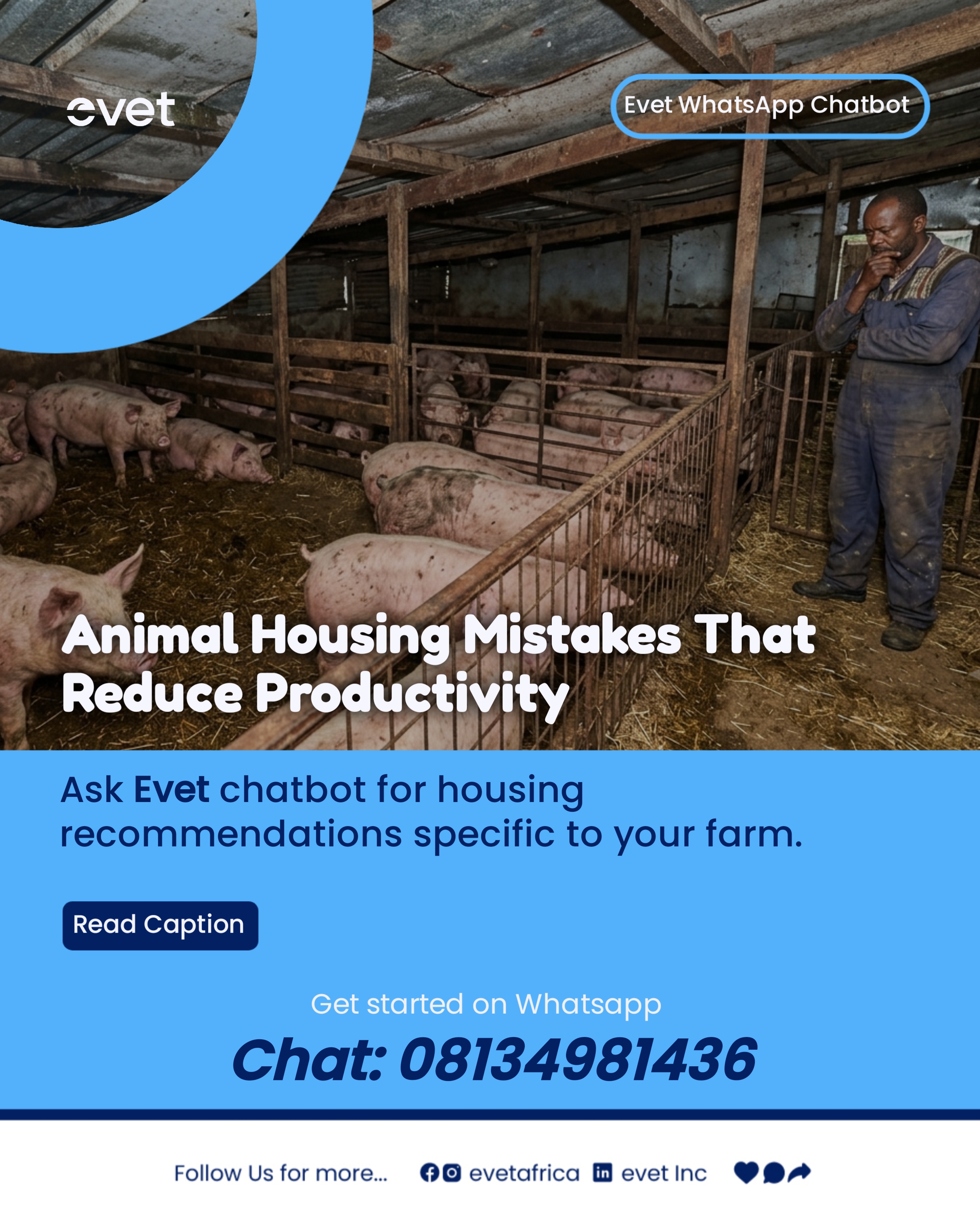 Animal Housing Mistakes That Reduce Farm Productivity