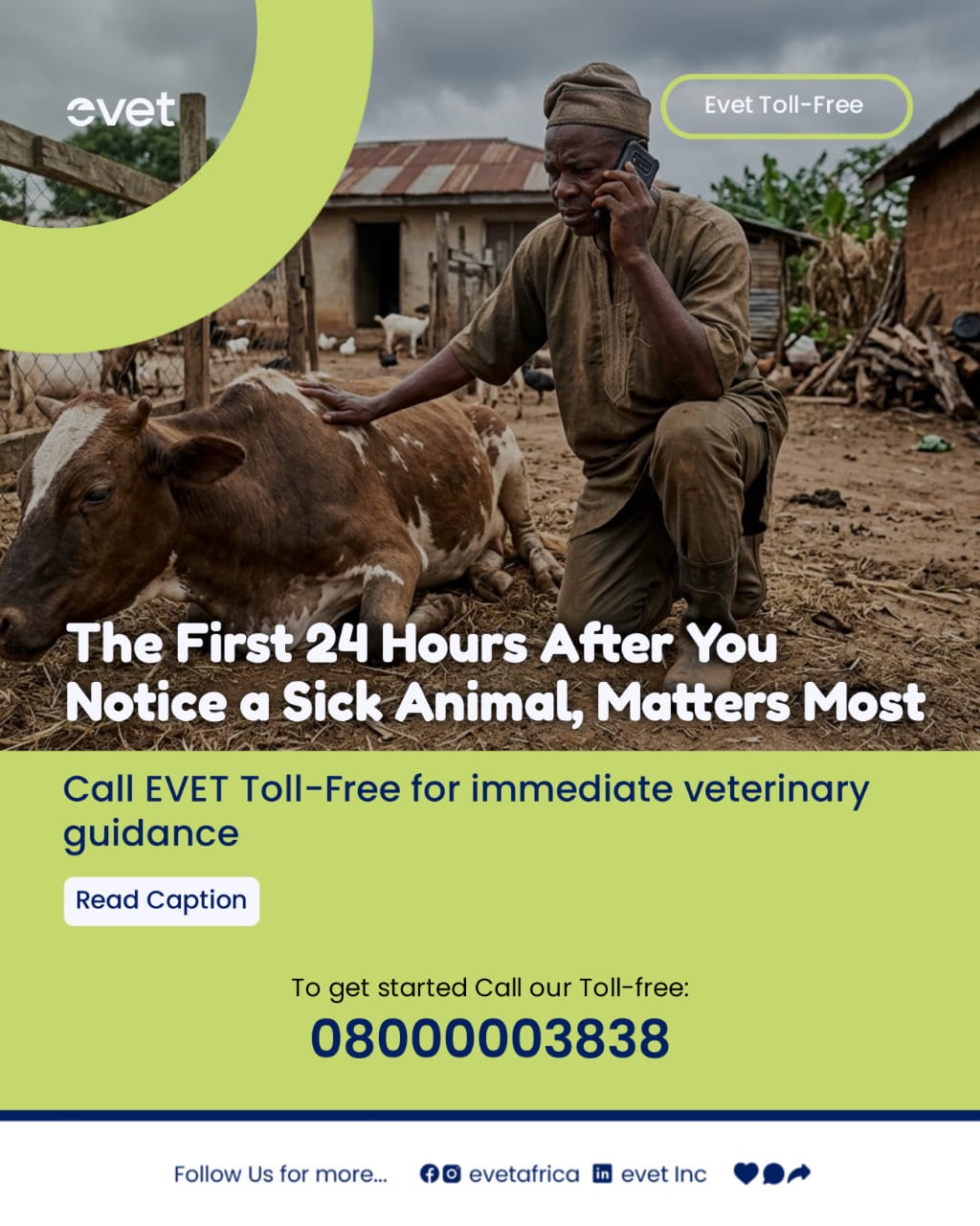 The First 24 Hours After You Notice a Sick Animal, Matters Most