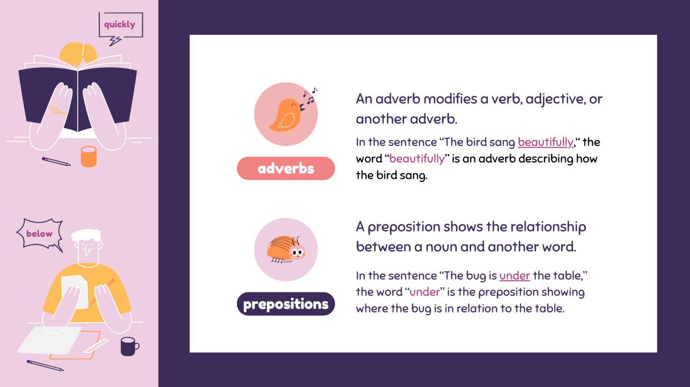 An adverb modifies a verb, adjective, or another adverb. In the sentence “The bird sang beautifully,“ the word “beautifully” is an adverb describing how the bird sang.
A preposition shows the relationship between a noun and another word. In the sentence “The bug is under the table,” the word “under” is the preposition showing where the bug is in relation to the table.