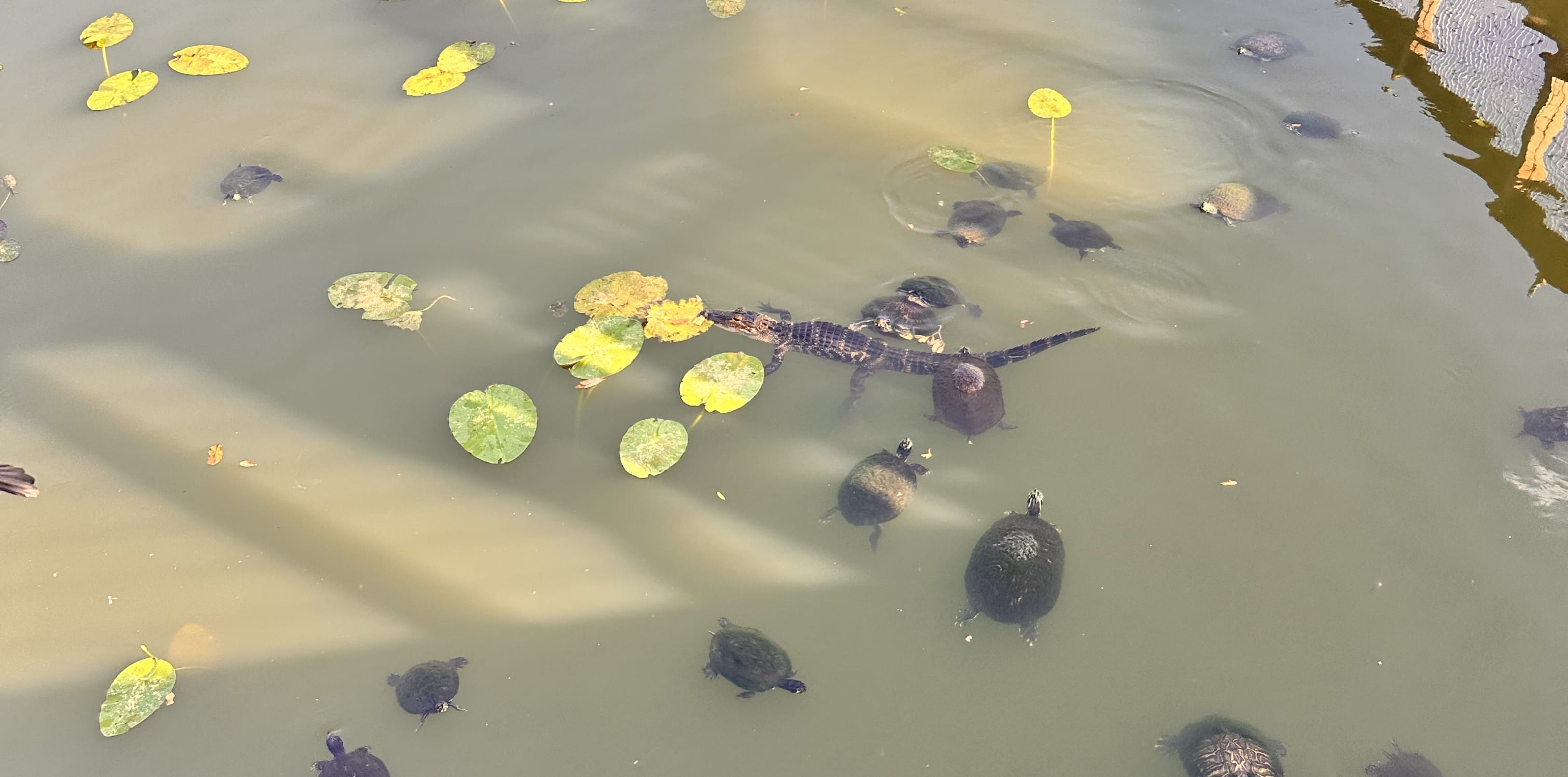 What Have I Been Doing? April 2026 Update and Changes