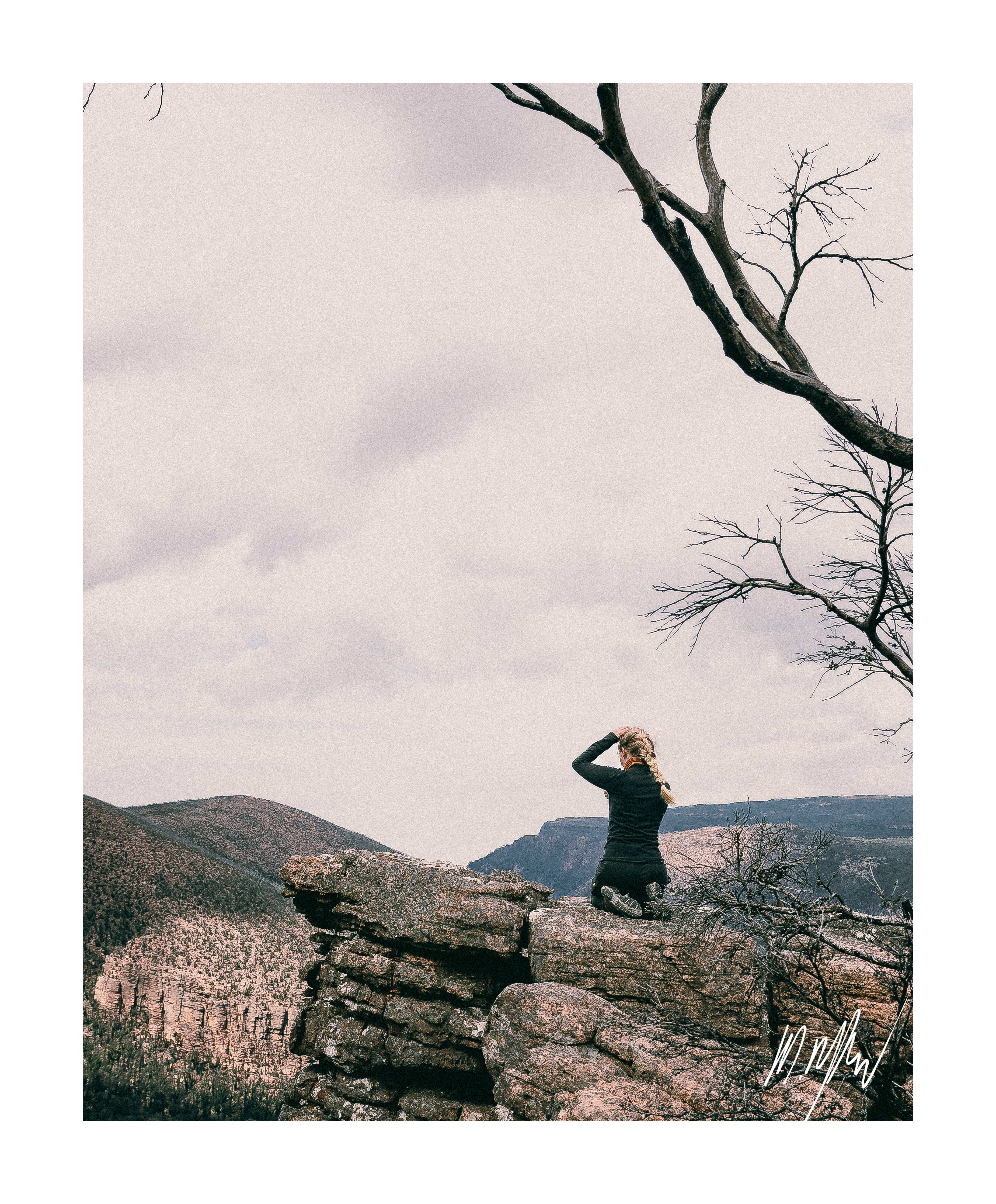A portfolio image