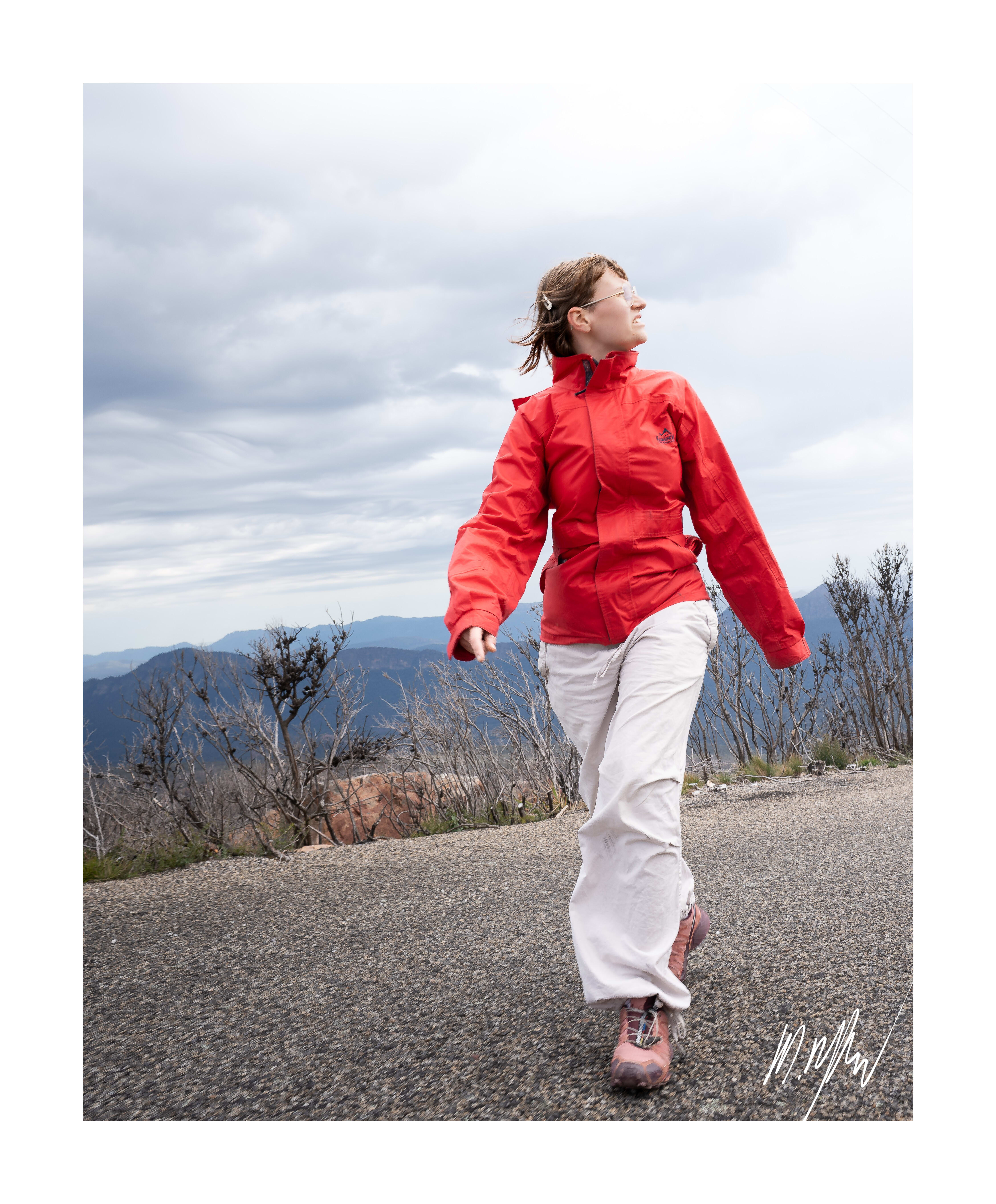 A portfolio image