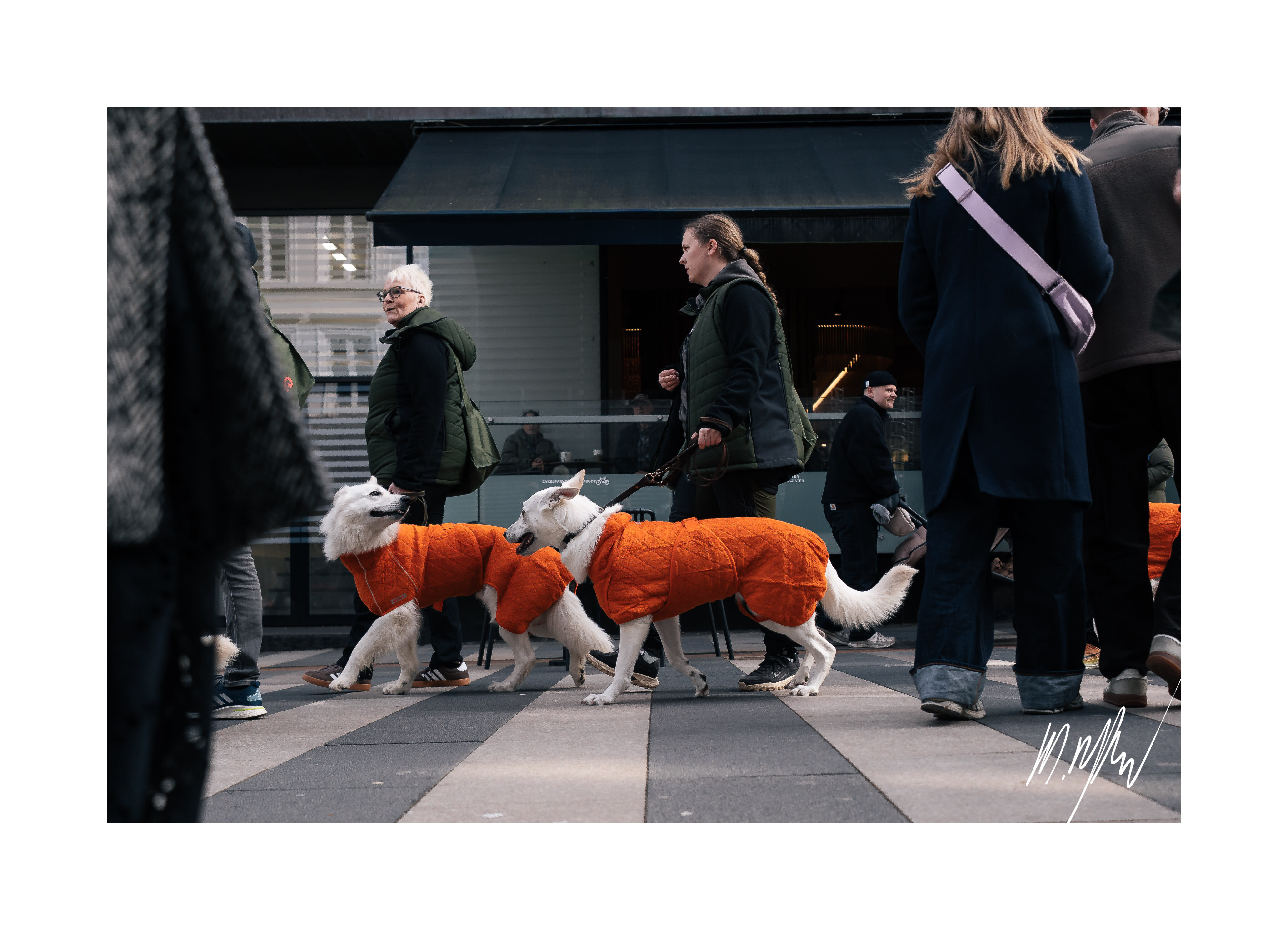 A portfolio image