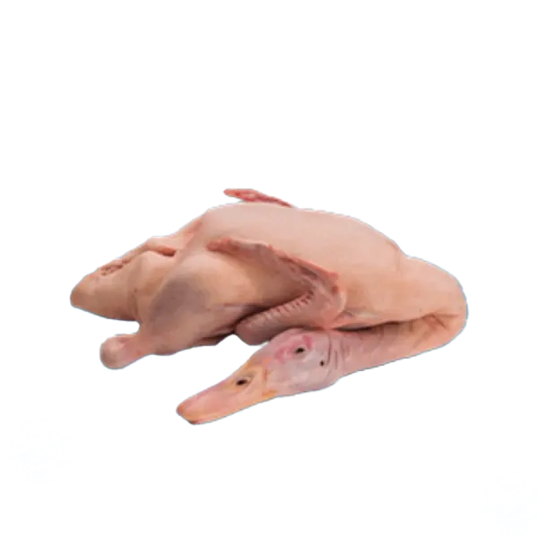 Beijing Duck Local & Clean Duck