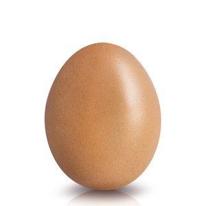 Regular Eggs 1pcs