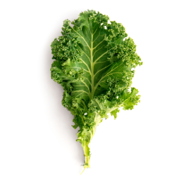 Image of Veggies