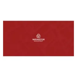 Winvestor Developments