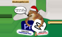 Combo 4 Khoá Học Dựng Phim Bằng Premiere Cùng Quạ Hd