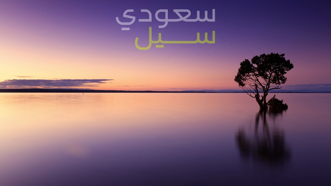 2017 الارد جاي 2 إكس