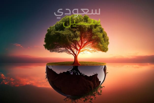 2017 الفا روميو ستيلفيو