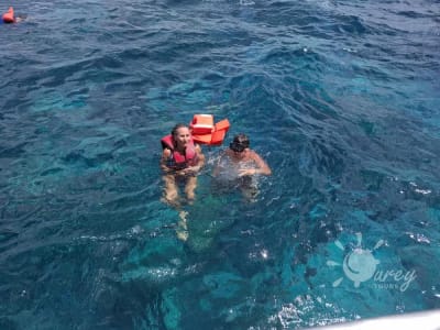 Excursión a Isla Catalina Con Turey Tours
