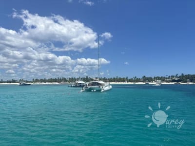 Excursión a Isla Catalina Con Turey Tours