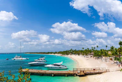 Excursión a Isla Catalina Con Turey Tours