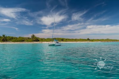 Excursión a Isla Catalina Con Turey Tours
