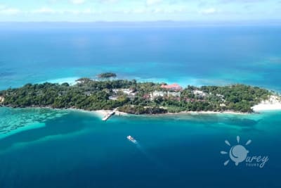 Excursión a la Bahía de Samaná Con Turey Tours