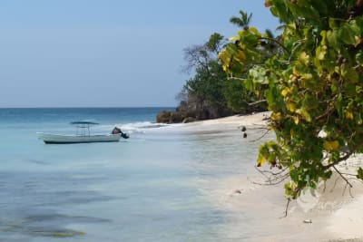 Excursión a la Bahía de Samaná Con Turey Tours