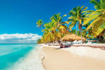 Excursión Premium a Isla Saona Con Turey Tours