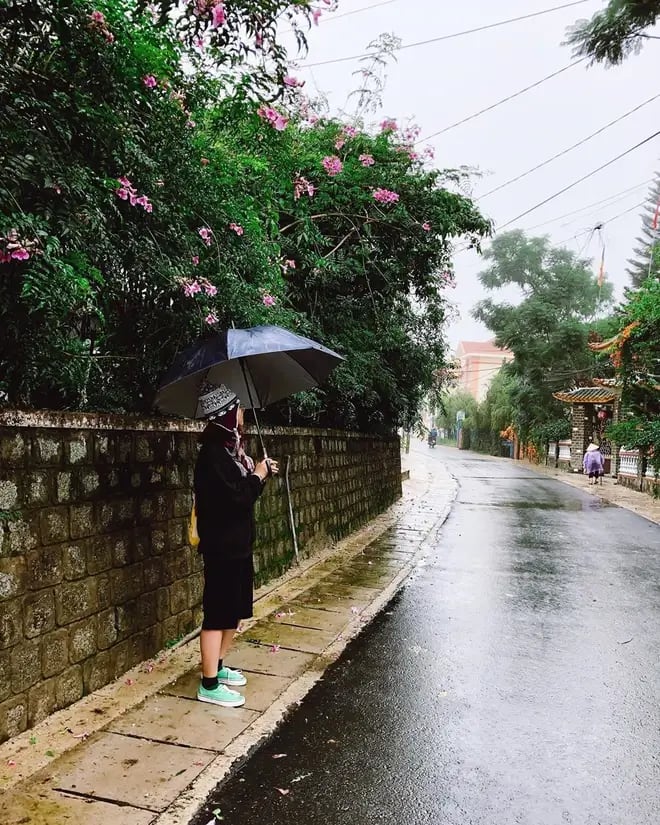 Đà Lạt tháng 9 có mưa không? Kinh nghiệm du lịch mùa mưa