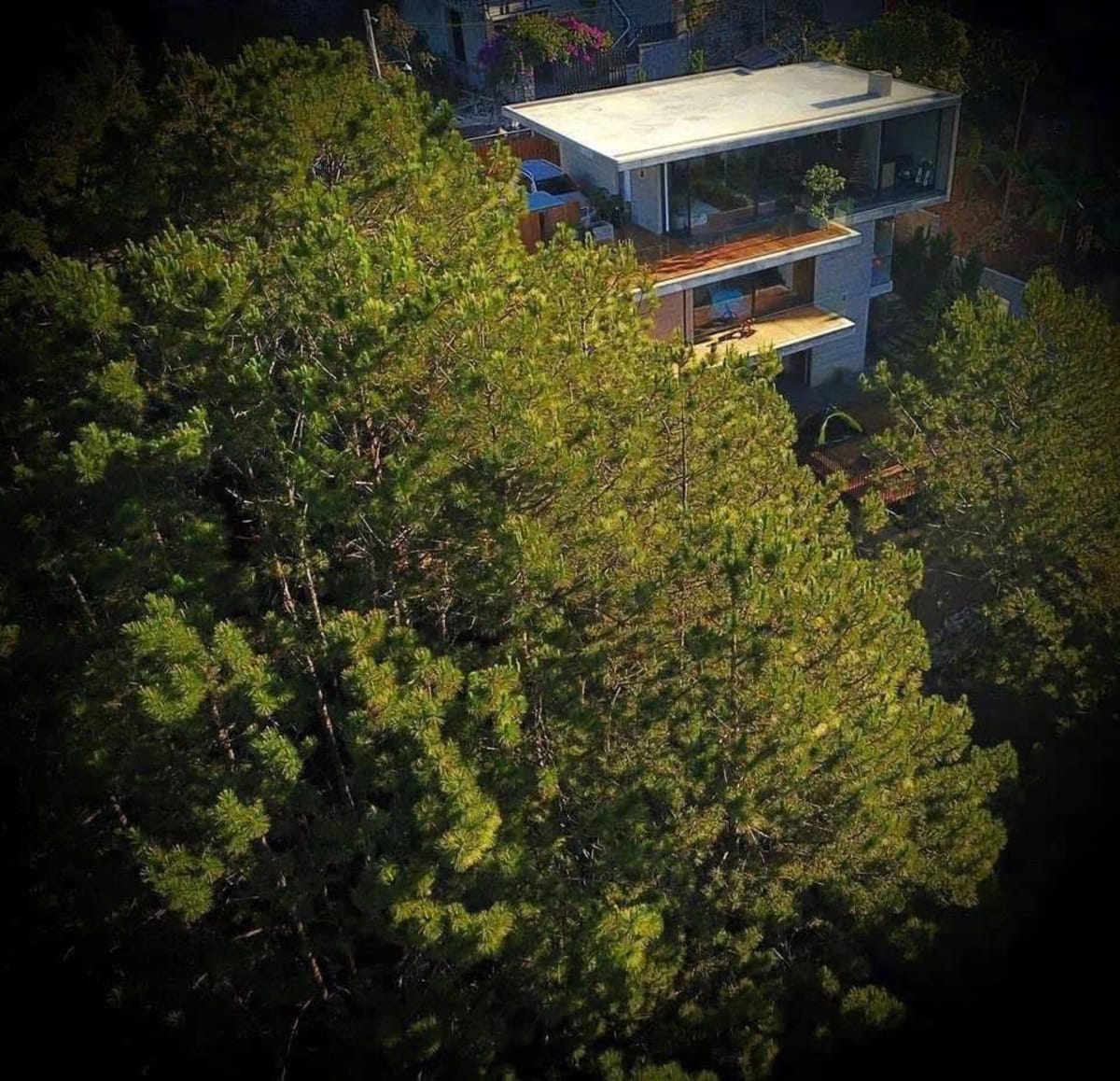 Villa cao cấp view rừng thông (V-25)