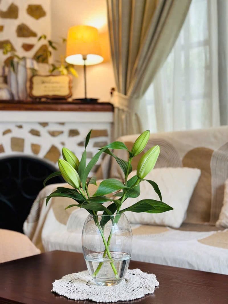 Villa Đà Lạt tiêu chuẩn 5 phòng ngủ đơn đầy đủ tiện nghi