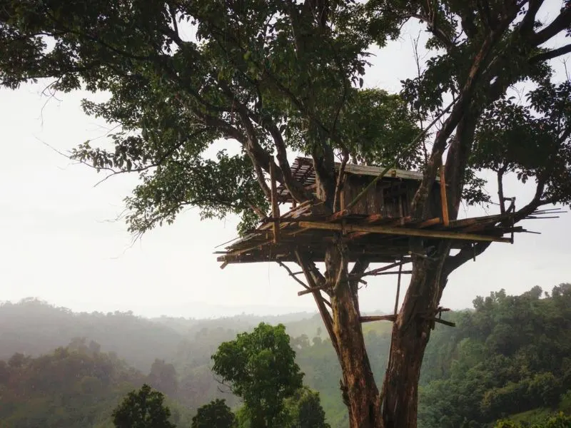 mountain-teahouse-view-alikadam-bandarban-360-degree-tea-gardens-hidden