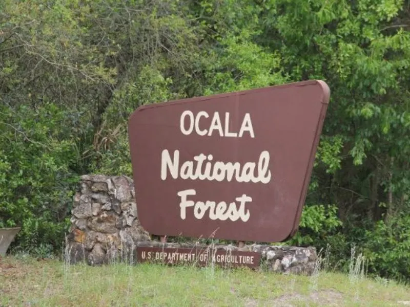 Ocala horse farms in Marion County Florida