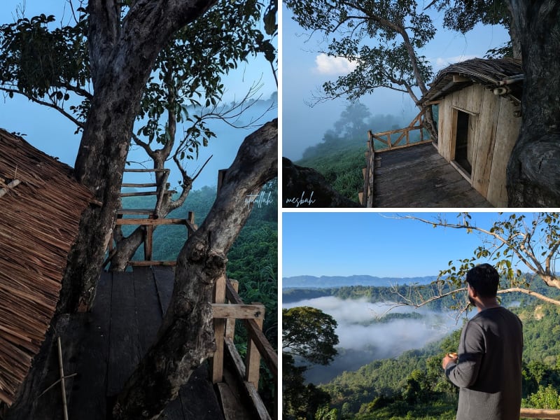 Life Inside the Treehouse by ataullah mesbah