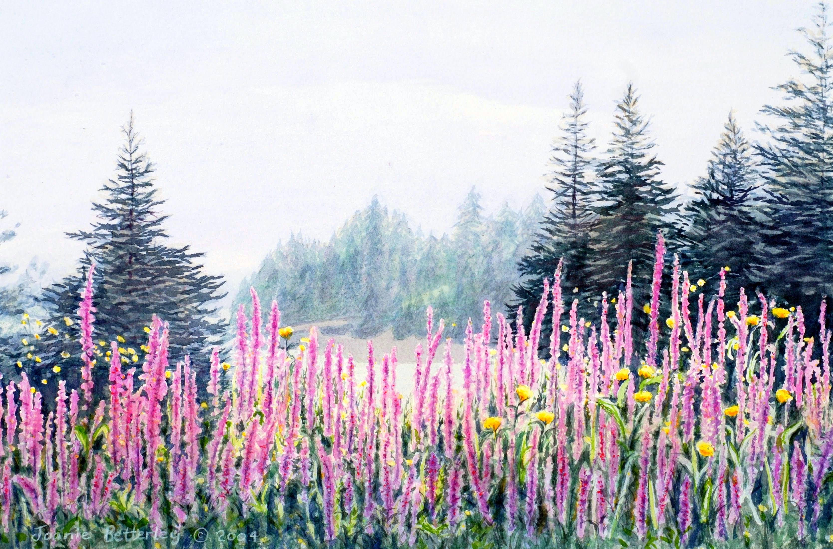 Pulpit Harbor, Maine Fog and Flowers