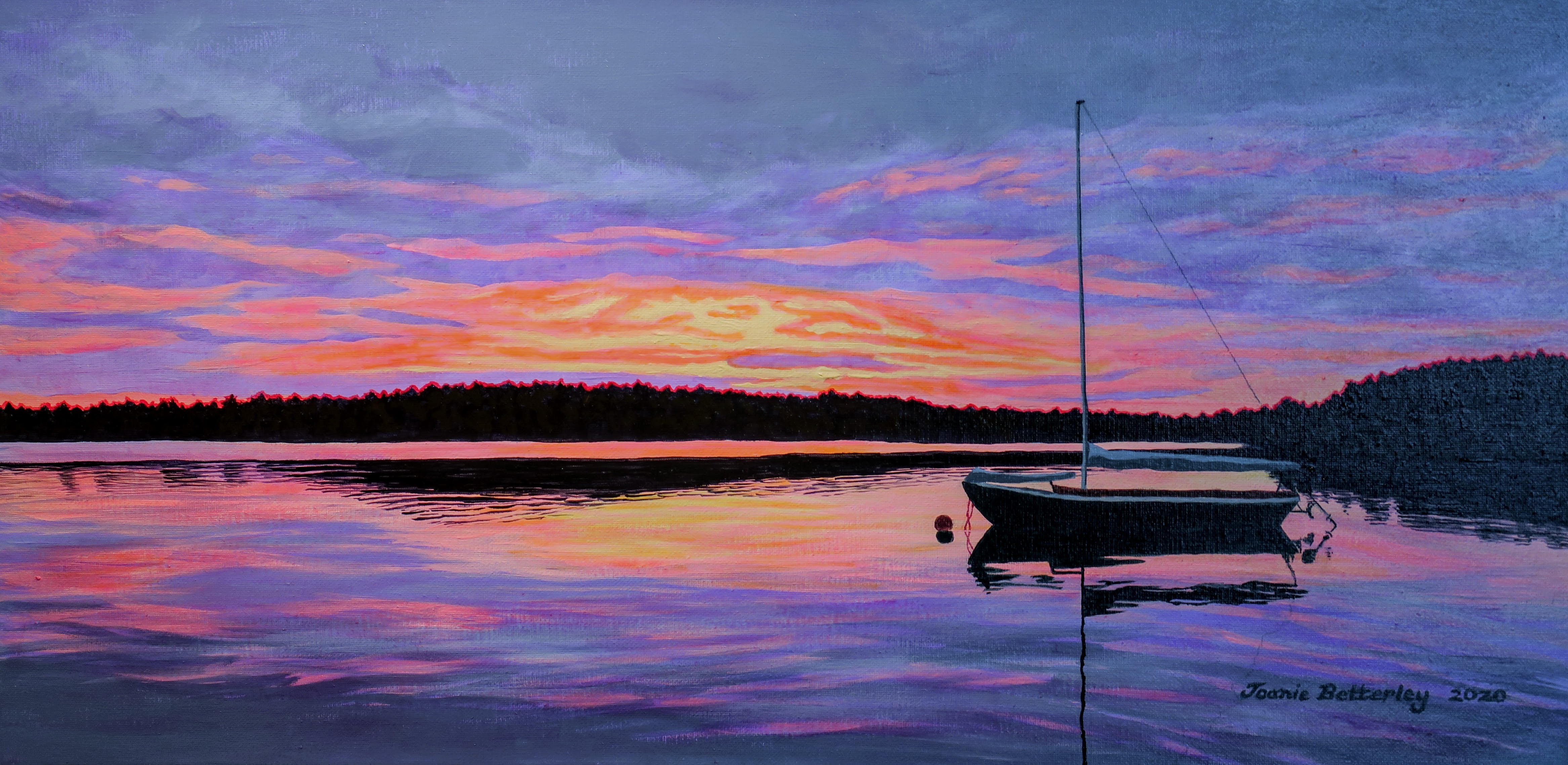 Bufflehead at Sunset