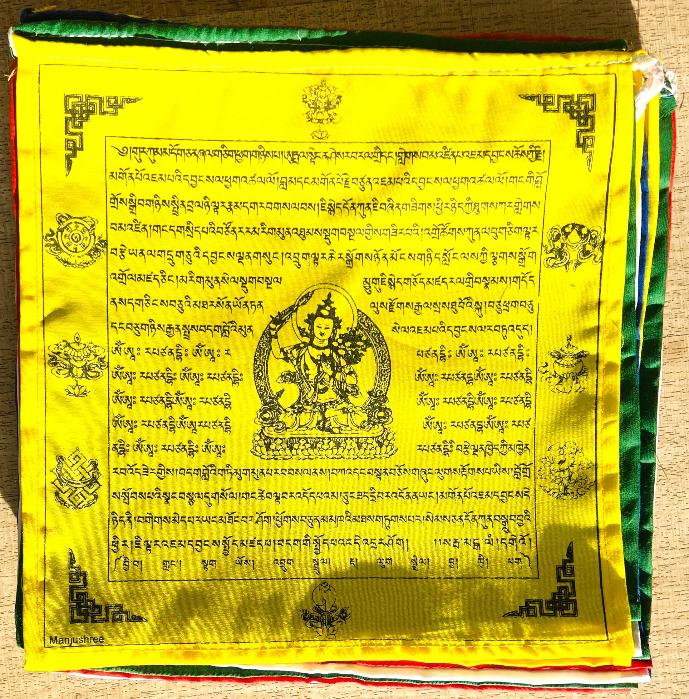 Manjushree (1).jpeg