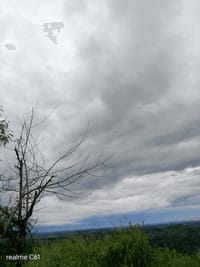 1083b0e2-7a79-4b0c-bb11-3ecce6c57ca5