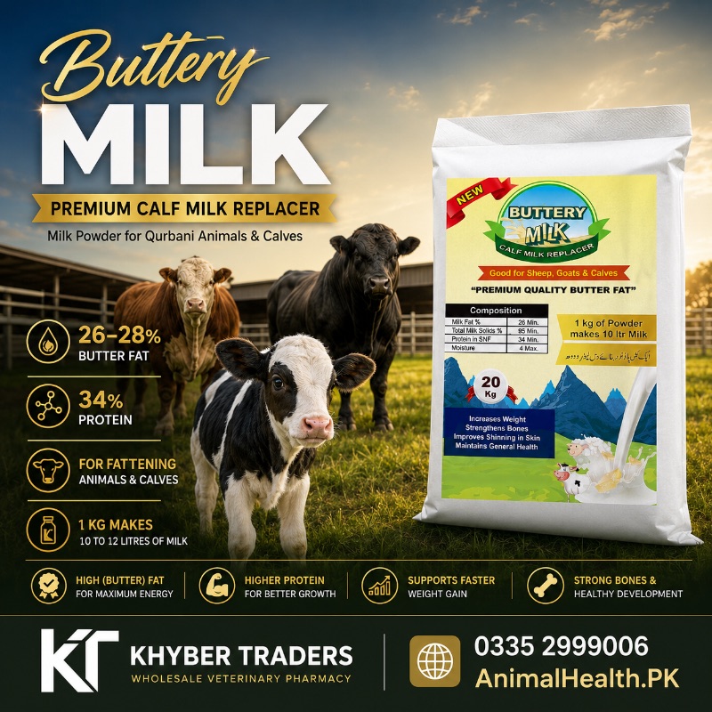 Buttery Milk Powder (CMR) (26-28% Milk Fat with 34% Protein) — Butter Milk for Fattening Cattle | Khyber Traders