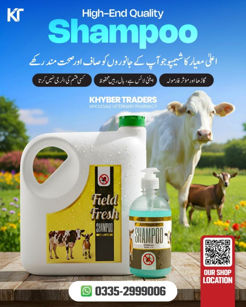 Field Fresh 5 Litre Shampoo — Anti-Lice Shampoo for Cattle | Khyber Traders