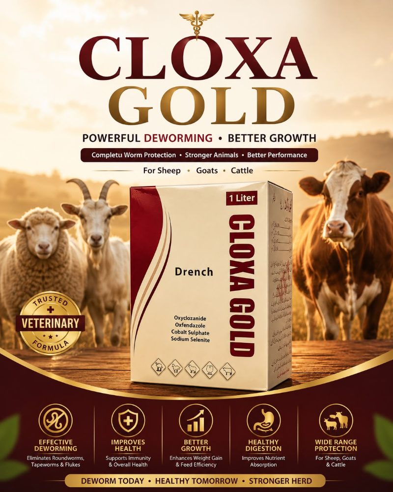 Cloxa Gold Litre Drench — Dewromer Drenches | Khyber Traders