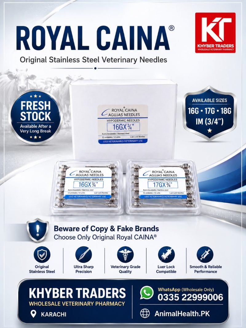 Royal CAINA ®️ Original Steel Needles 17G and 16G and 18G 3/4" (I.M) — Steel Needles and Reusable Injectors for Vet Use | Khyber Traders
