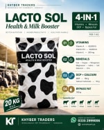 Lactosol 4 in 1 –20 kg — Feed Premix & Minerals Mixture | Khyber Traders