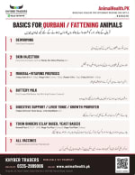 Useful Information for Fattening & Qurbani Animals — Some Basics for Fattening & Qurbani Animals | Khyber Traders