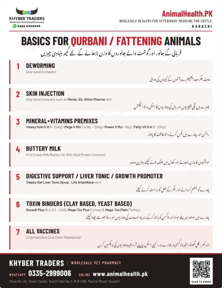 Useful Information for Fattening & Qurbani Animals — Some Basics for Fattening & Qurbani Animals | Khyber Traders