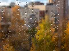 Прогноз погоды на 2 декабря в Ленинградской области