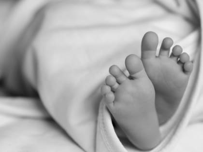 Продажа БЦ «Пулково Скай» и рост цен на квартиры в новостройках стали темами дня в Петербурге