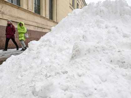 Снег и мороз ожидаются в Ленобласти 19 февраля